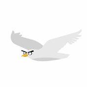 Angry Bird - Boys Clothing Transfers