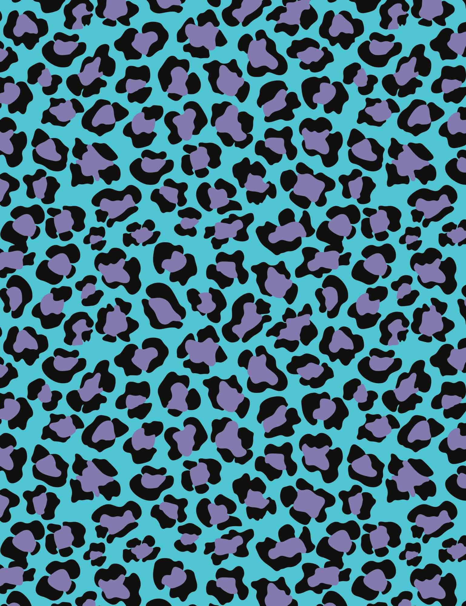 Cool-Cat-overzicht.jpg
