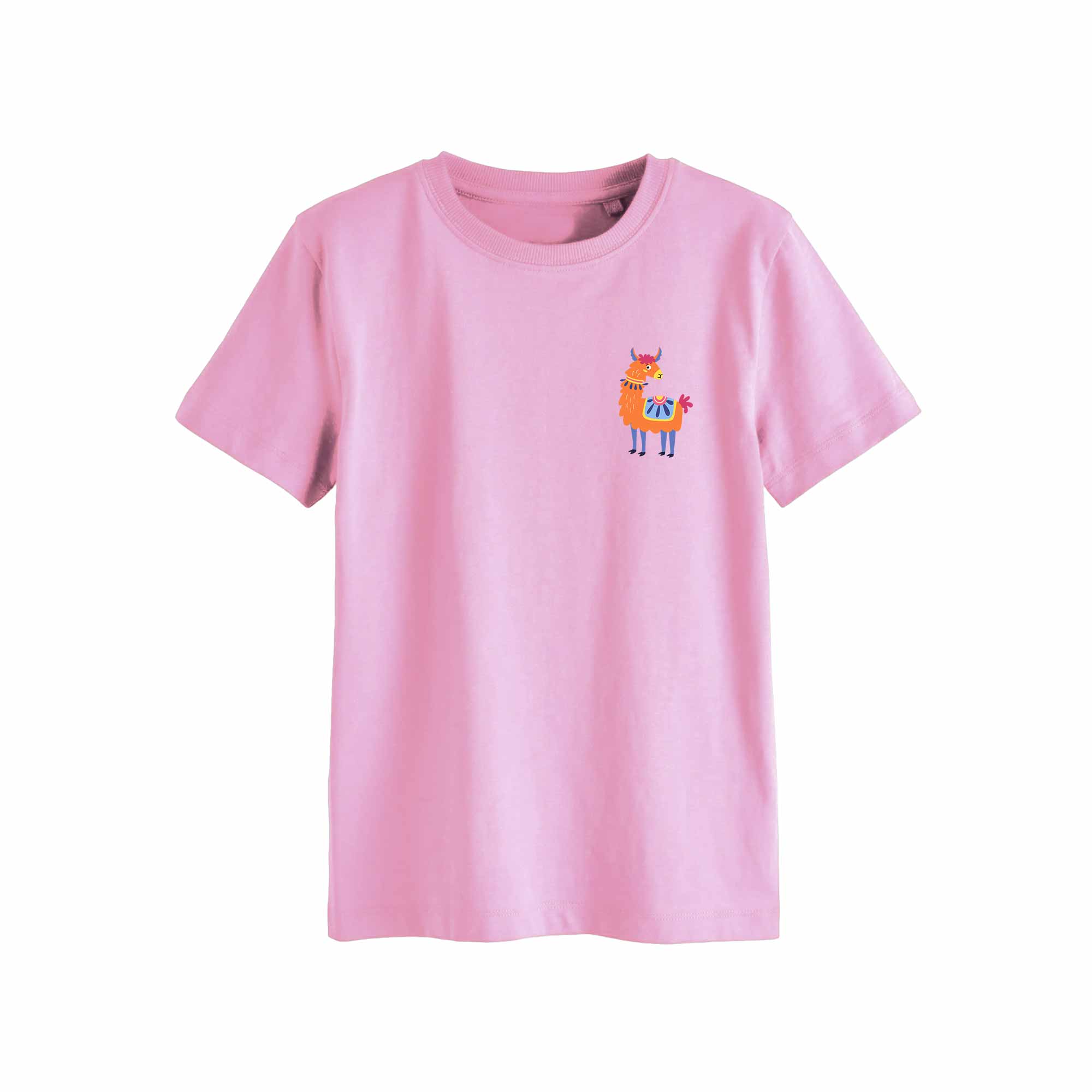Llama 6 - Funny Llama Clothes Transfer