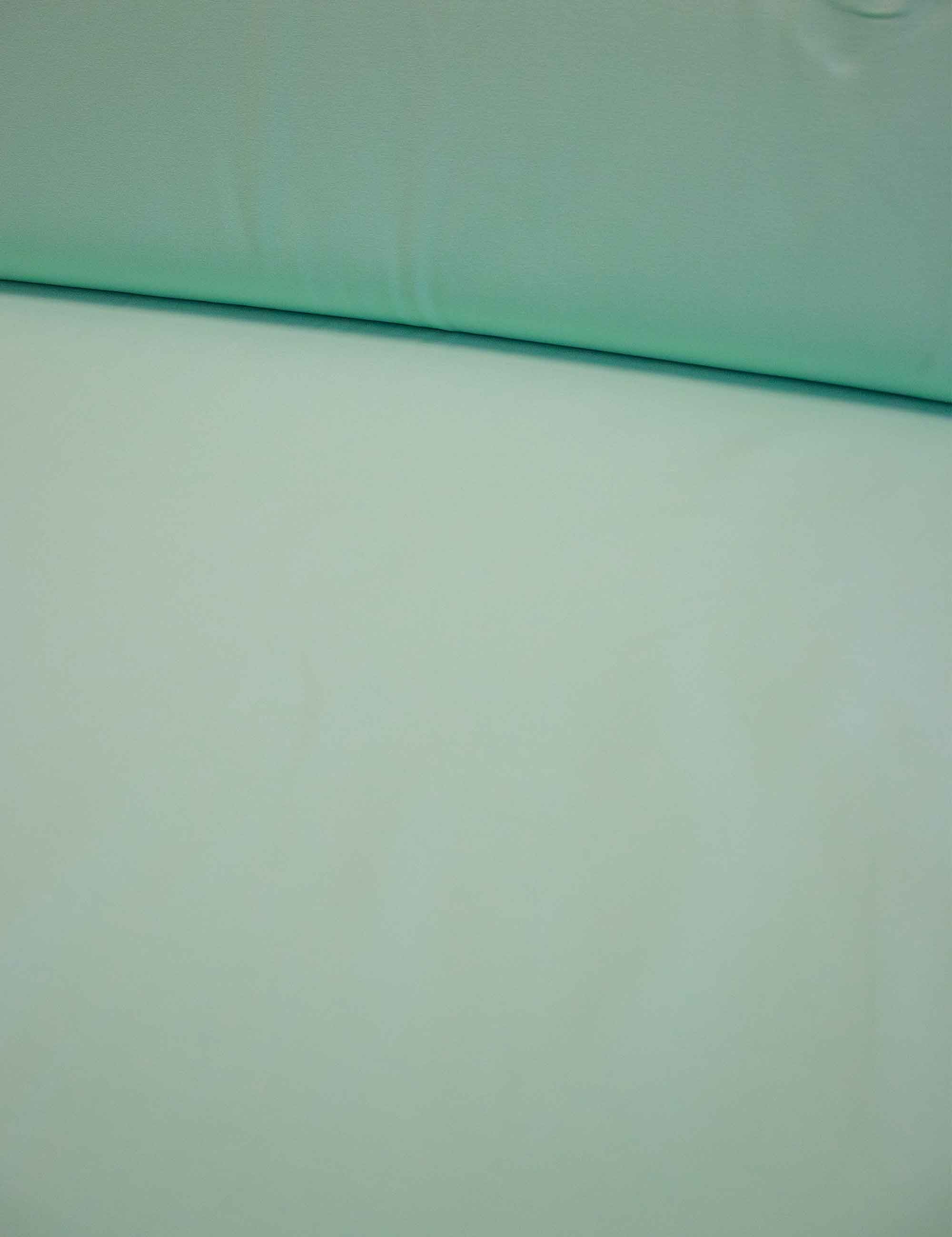 mint-vibes-1-French-terry-rebel-studio_65eb0896-db0e-4fc9-95b3-57fd81e4ff96.jpg
