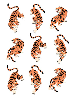 Orange Tiger - Carousel Clash – All-over transfervel
