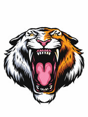 Tiger - Jungen Kleidung Transfers