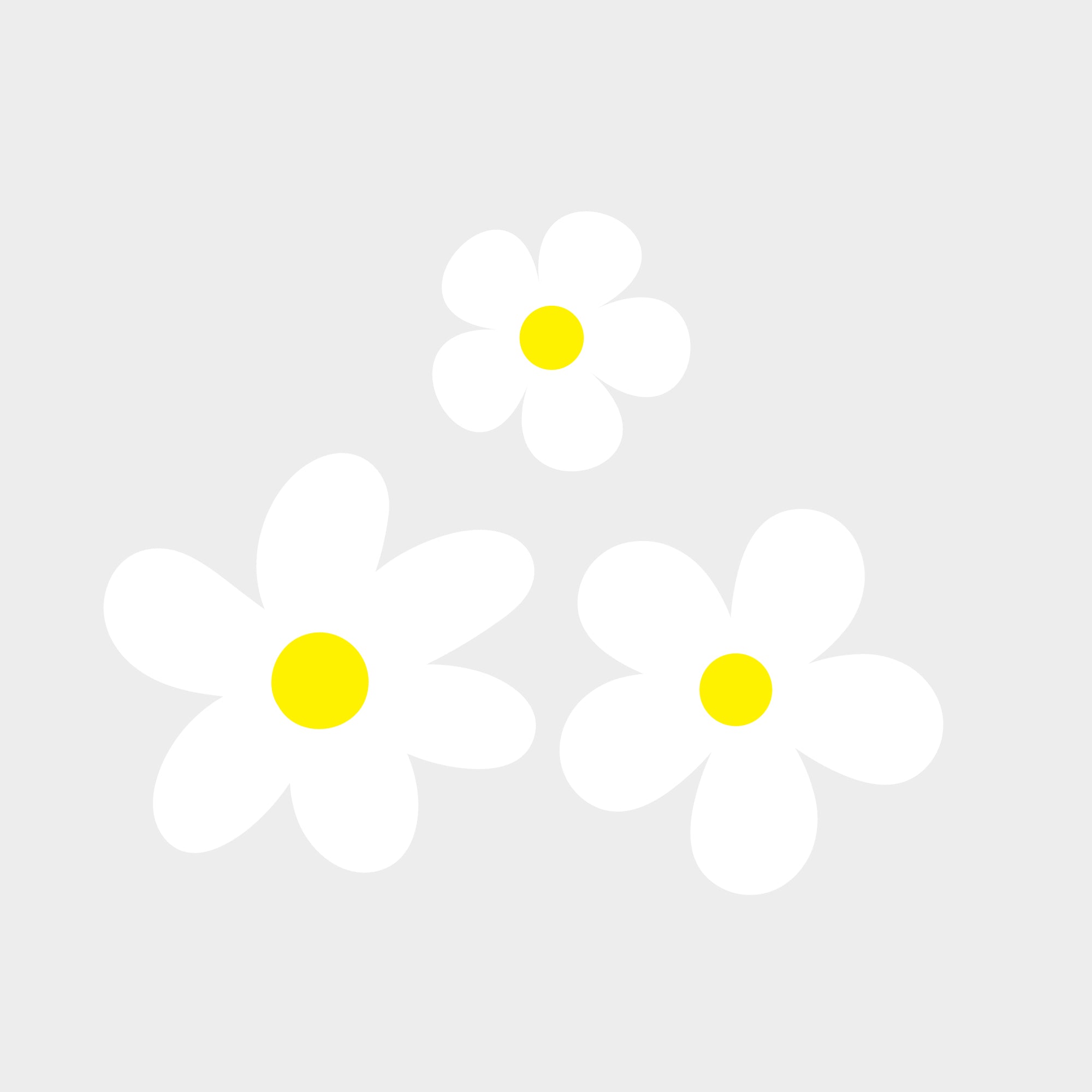 Witte Bloemen -  Fabric Frenzy