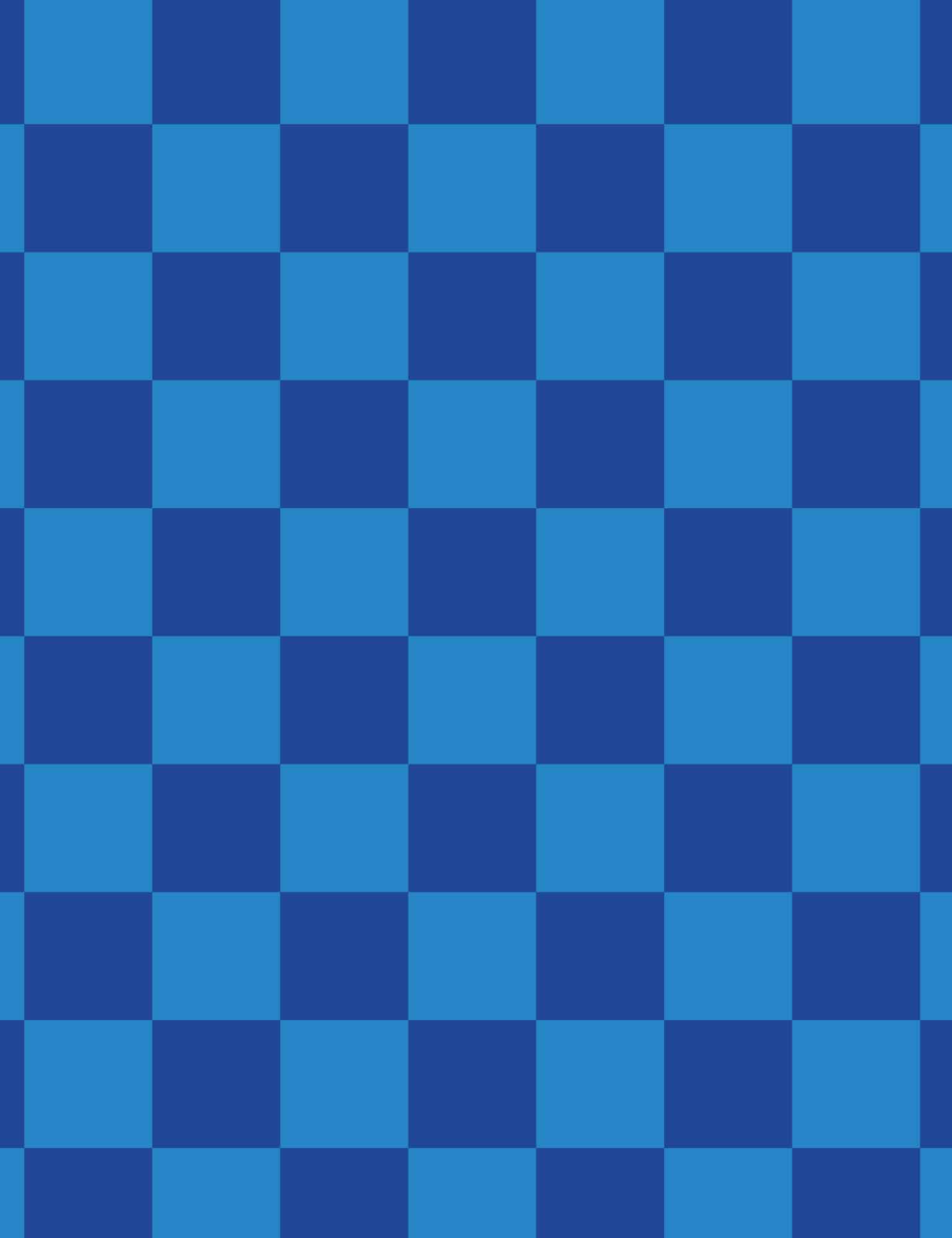 Bold Blue & Royal Blue Check | French Terry | 170 cm breed