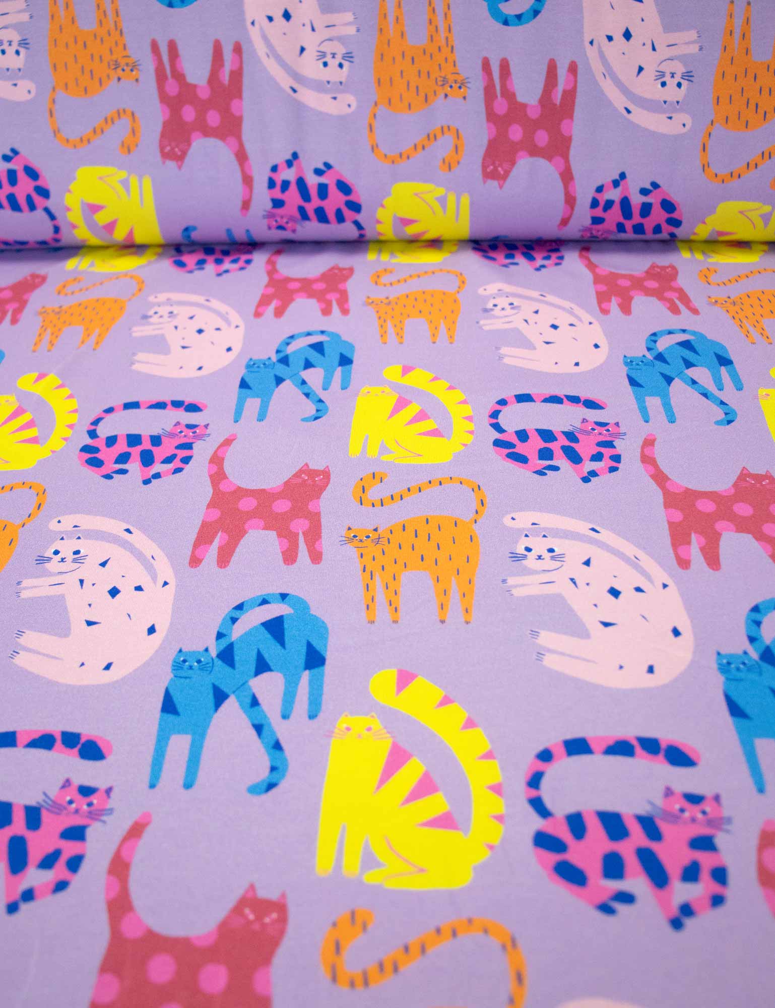 Cool Cats Lilalicious | Tricot | 170cm breed