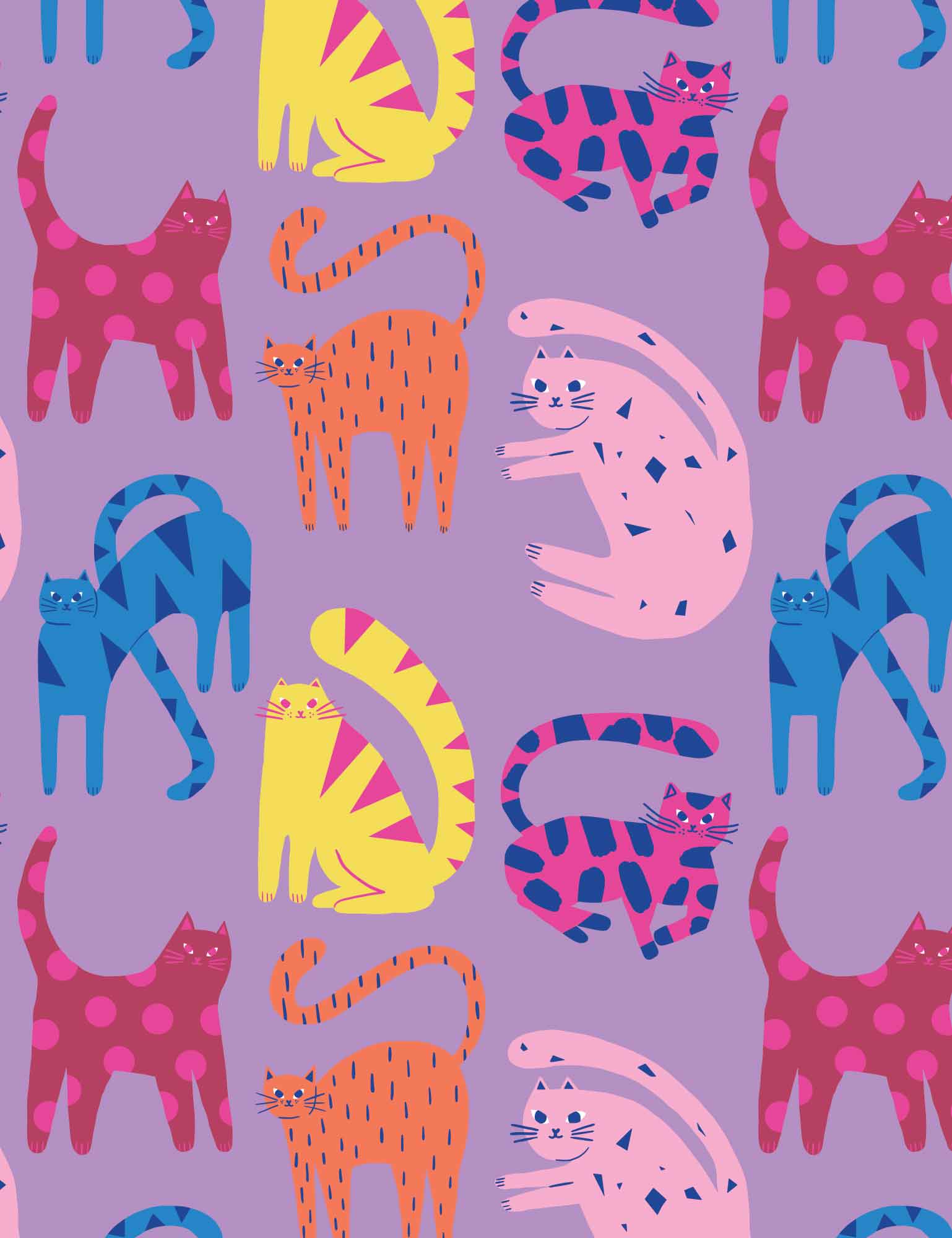 Cool Cats Lilalicious | Tricot | 170cm breed