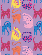 Cool Cats Lilalicious | Tricot | 170cm breed