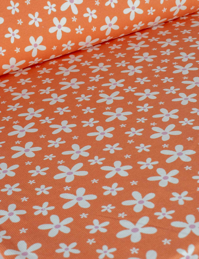 Daisy Pop Bittersweet Orange