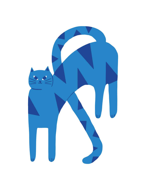 Katze Bold Blue | Bügelbild