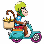 Monkey - Boys Kleding Transfers
